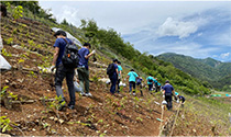 足尾銅山跡地での植樹活動